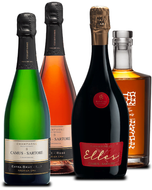 champagne CAMUS-SARTORE